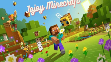 jojoy minecraft