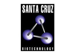 santa cruz biotechnology