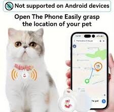 petfinder pro